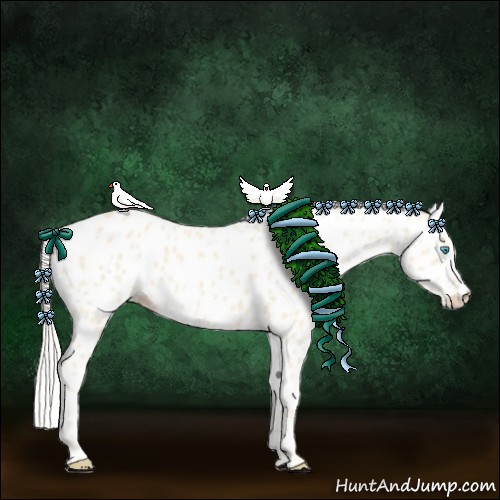 Horse Color:Cremello Appaloosa 