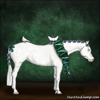 Horse Color:Cremello Appaloosa 