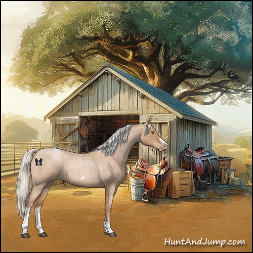 Horse Color:Silver Blue Roan Pearl Tobiano Frame 