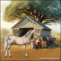 Horse Color:Silver Blue Roan Pearl Tobiano Frame 