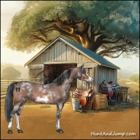 Horse Color:White Spotted Brown Roan Frame 