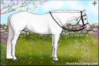 Horse Color:White Spotted Chocolate Palomino Dun Splash Appaloosa 