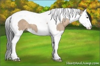 Horse Color:Brown Dun Splash Tobiano 