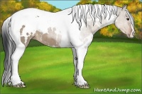 Horse Color:White Spotted Brown Dun Tobiano 