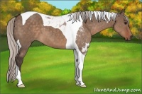 Horse Color:Silver Brown Dun Tobiano