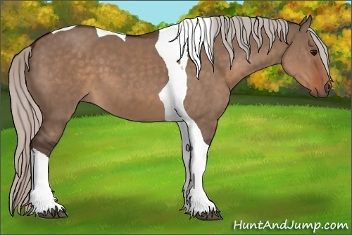 Horse Color:Silver Brown Dun Tobiano