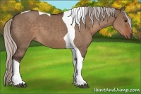 Horse Color:Silver Brown Dun Tobiano 
