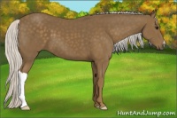Horse Color:Silver Smoky Black 