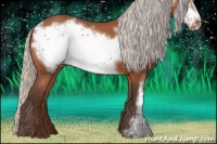 Horse Color:Silver Bay Roan Frame 