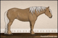 Horse Color:Silver Smoky Black 