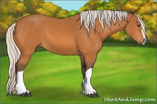 Horse Color:Silver Buckskin 