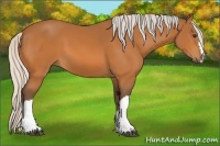 Horse Color:Silver Buckskin 