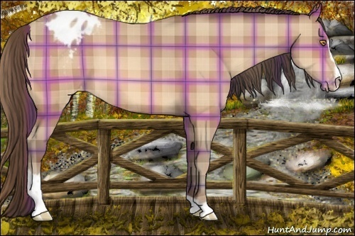 Horse Color:Plaid Amber Champagne Sabino Varnish