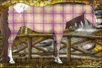 Horse Color:Plaid  Amber Champagne Sabino Varnish 