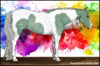 Horse Color:Watercolor Silver Black Tobiano Rabicano 