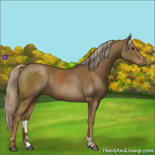 Horse Color:Chocolate Palomino
