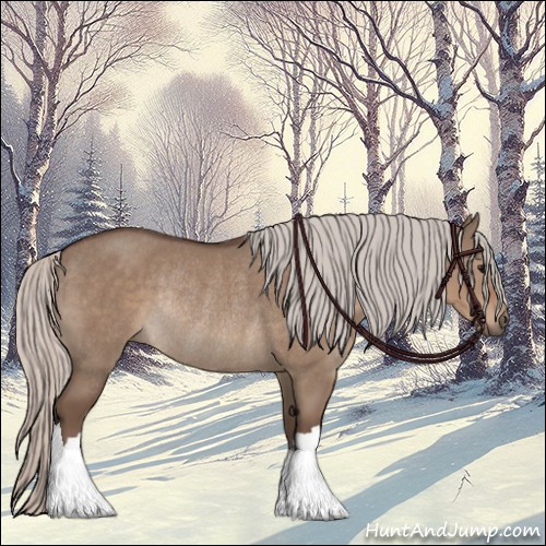Horse Color:Silver Grullo Rabicano 