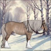 Horse Color:Silver Grullo Rabicano 