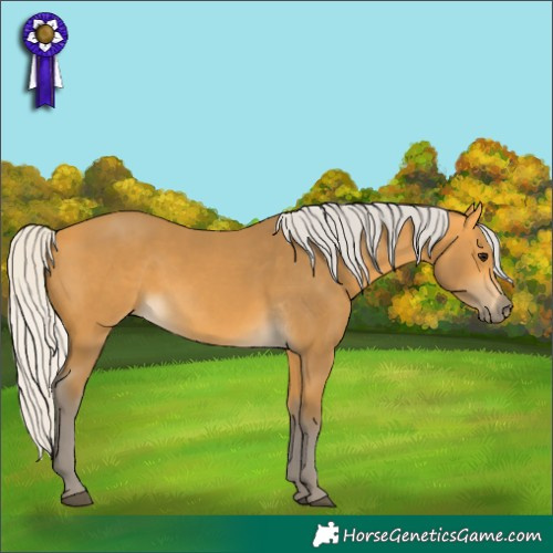 Horse Color:Silver Buckskin 