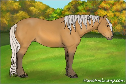 Horse Color:Silver Buckskin 