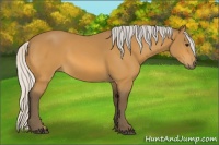 Horse Color:Silver Buckskin 