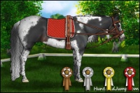Horse Color:Brown Roan Splash Tobiano Frame 