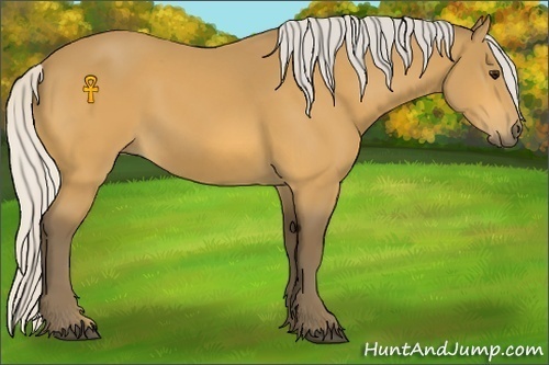 Horse Color:Silver Buckskin 