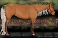 Horse Color:Silver Buckskin 