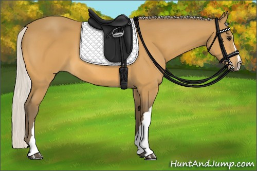 Horse Color:Silver Buckskin 
