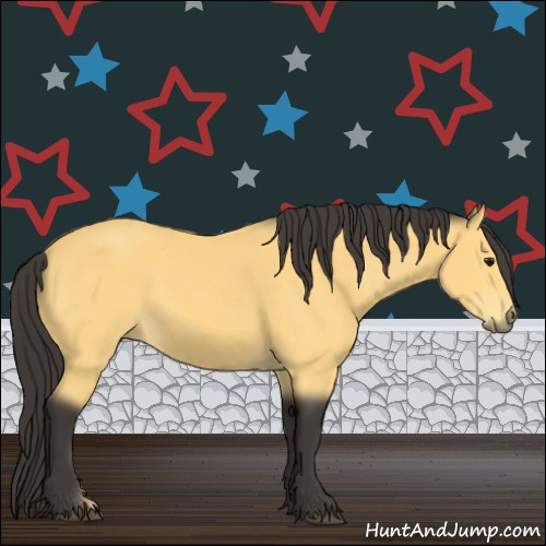 Horse Color:Buckskin 