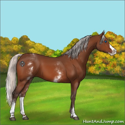 Horse Color:White Spotted Silver Bay Splash 