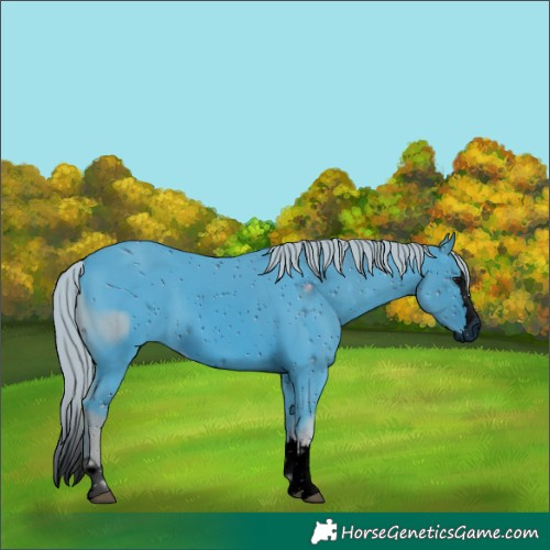 Horse Color:ERROR: UNKNOWN ANOMALY