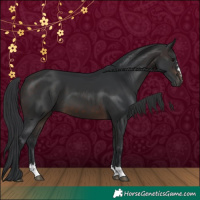 Horse Color:Brown 