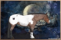Horse Color:Brown Roan Near Fewspot 