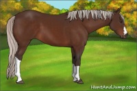 Horse Color:Silver Brown