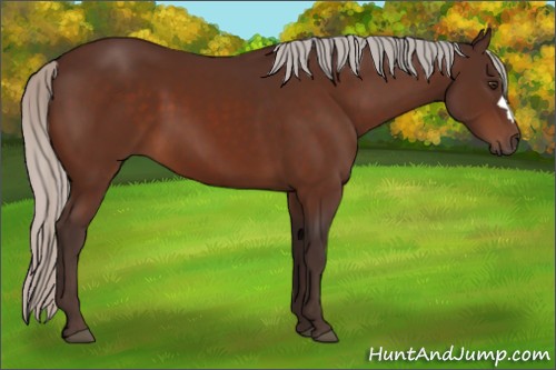 Horse Color:Silver Brown 