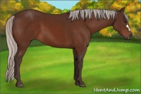 Horse Color:Silver Brown 