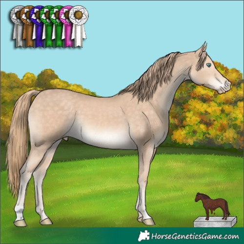Horse Color:Chocolate Perlino 