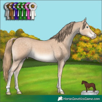 Horse Color:Chocolate Perlino 