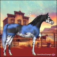 Horse Color:Brown Splash