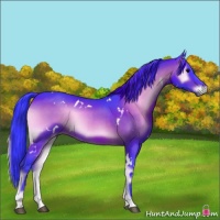 Horse Color:Watercolor White Spotted Brown Onyx
