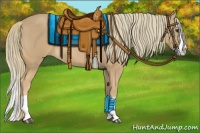 Horse Color:Chestnut Splash 