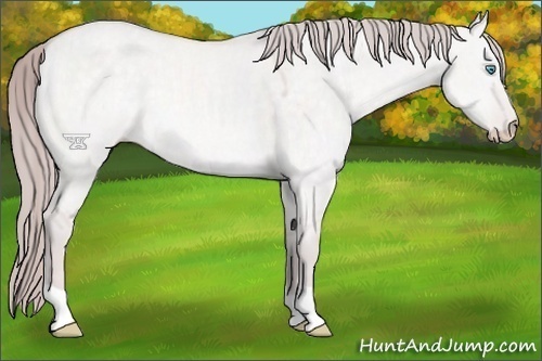 Horse Color:Platinum Chocolate Perlino Dun 