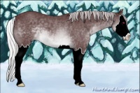 Horse Color:Chocolate Silver Brown Chinchilla Sabino Splash 