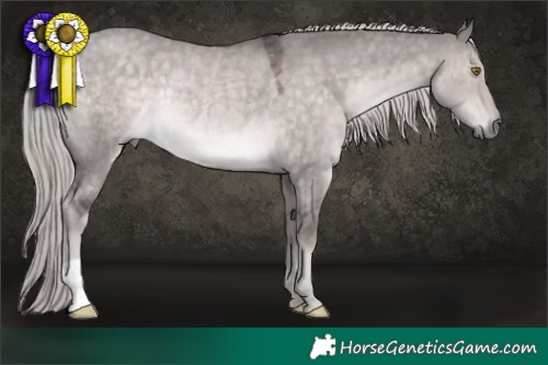 Horse Color:Platinum Chocolate Palomino Dun Rabicano 