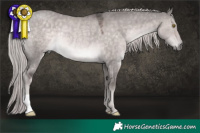 Horse Color:Platinum Chocolate Palomino Dun Rabicano