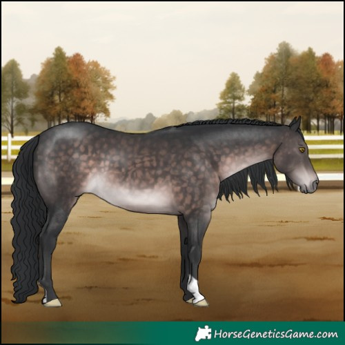 Horse Color:Platinum Brown 