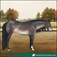 Horse Color:Platinum Brown