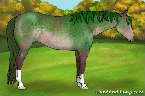 Horse Color:Platinum Chocolate Buckskin