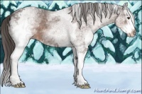 Horse Color:White Spotted Liver Chestnut Ice Sabino Splash 